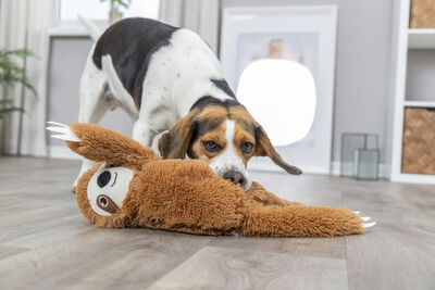 Trixie Köpek Oyuncağı, Peluş Tembel Hayvan, 56 Cm