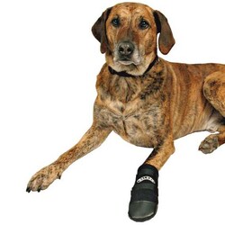 Trixie Köpek Patiği Neopren 2 Adet Large, Siyah - Trixie