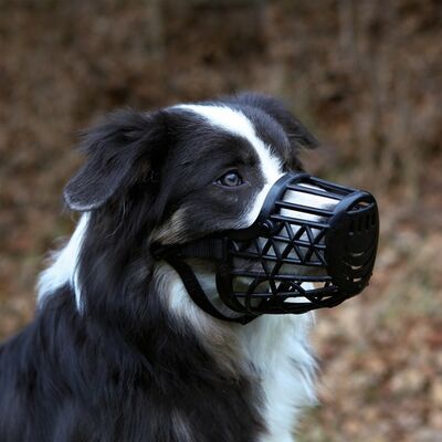 Trixie Köpek Plastik Ağızlık, L, 26 cm