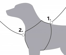Trixie Köpek Premium Göğüs Tasması, L: 75-95 cm / 25 mm, Çivit Mavi - Thumbnail
