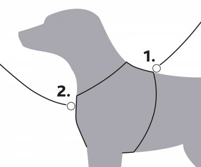 Trixie Köpek Premium Göğüs Tasması, M: 55-70 cm / 20 mm, Gri
