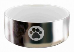 Trixie Köpek Seramik Mama ve Su Kabı 0,3 Lt (12 Cm) - Trixie