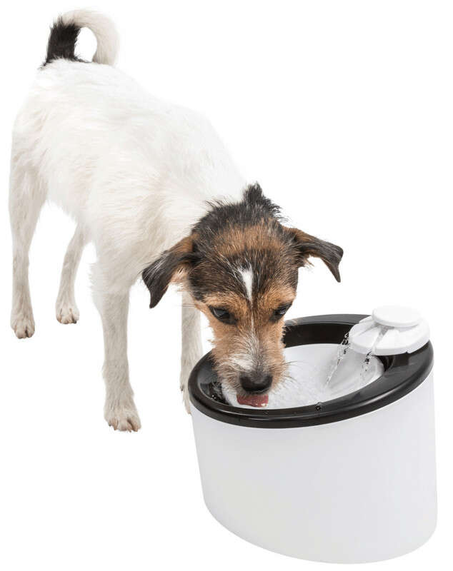 Trixie Köpek ve Kedi Otomatik Su Kabı 2 Lt Köpek Mama ve Su Kapları