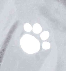 Trixie Köpek Yağmurluk, L:55cm, Transparan/Şeffaf, Siyah Biyeli - Thumbnail