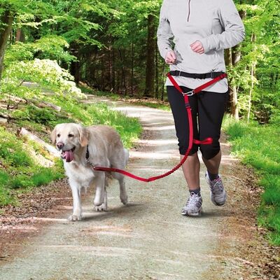Trixie Köpek Yürüme ve Koşma Kemeri / Kayışı Kırmızı