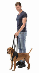 Trixie Köpek Yürüteci, Yardımcısı L: 65 - 75 cm, Siyah - Thumbnail