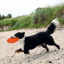 Trixie Köpek Yüzen Termoplastik Kauçuk Frizbi 22 cm - Thumbnail