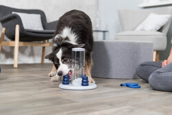 Trixie Köpek Zeka Eğitim Oyuncağı, Kule 25 x 33 x 25 cm - Thumbnail