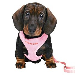 Trixie - Trixie Yavru Köpek Göğüs Tasma & Kayışı - Pembe - 23-34 cm / 2 M / 10 mm