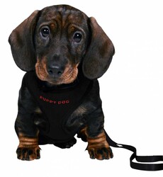 Trixie Yavru Köpek Göğüs Tasma & Kayışı, 26 - 34 cm / 2 M /10 mm - Trixie