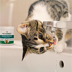 Vets Best Kediler için Plak ve Tartar Ağız Bakım Tozu 45 Gr - 4