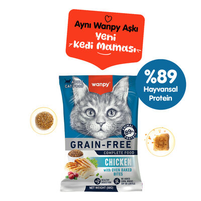 Wanpy BOX Kedi Krema Avantaj Paketi