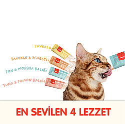 Wanpy Creamy Treat Assorted Karışık 4 Lezzetli Likit Creamy Kedi Ödülü 100lü Paket (100 x 14 Gr) - 3