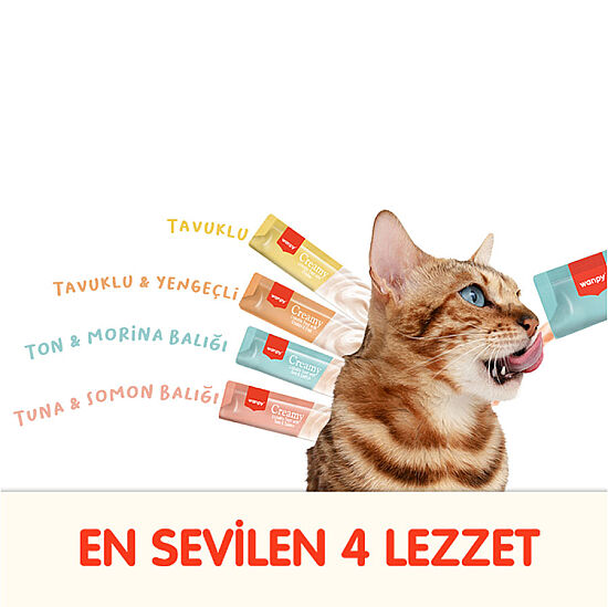 Wanpy Creamy Treat Assorted Karışık 4 Lezzetli Likit Creamy Kedi Ödülü 100lü Paket (100 x 14 Gr) - 3