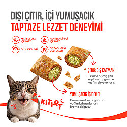 Wanpy Crunchy Pockets Kedi Otlu ve Tavuklu Kedi Ödülü 60 Gr - 2