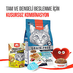 Wanpy Crunchy Pockets Kedi Otlu ve Tavuklu Kedi Ödülü 60 Gr - 6