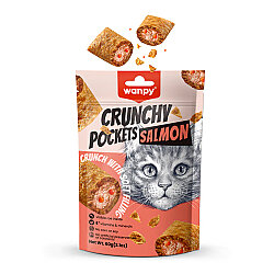 Wanpy Crunchy Pockets Somonlu Kedi Ödülü 60 Gr - Wanpy