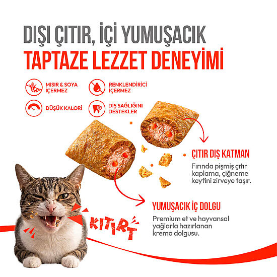 Wanpy Crunchy Pockets Somonlu Kedi Ödülü 60 Gr - 2