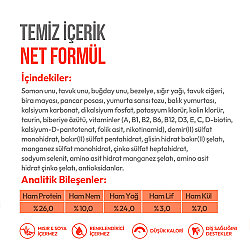 Wanpy Crunchy Pockets Somonlu Kedi Ödülü 60 Gr - 5