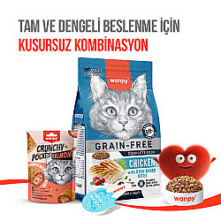Wanpy Crunchy Pockets Somonlu Kedi Ödülü 60 Gr - 6