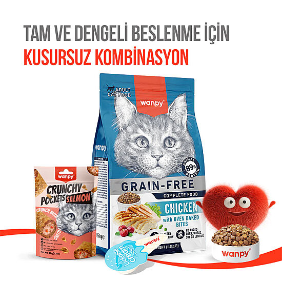 Wanpy Crunchy Pockets Somonlu Kedi Ödülü 60 Gr - 6