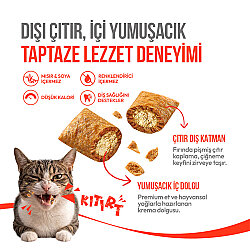 Wanpy Crunchy Pockets Tavuklu Kedi Ödülü 60 Gr - 2