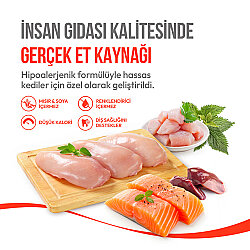 Wanpy Crunchy Pockets Tavuklu Kedi Ödülü 60 Gr - 3