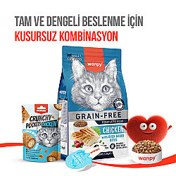 Wanpy Crunchy Pockets Tavuklu Kedi Ödülü 60 Gr - 6