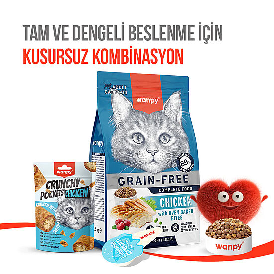 Wanpy Crunchy Pockets Tavuklu Kedi Ödülü 60 Gr - 6