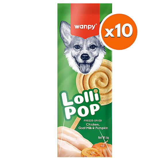 Wanpy Dondurularak Kurutulmuş Balkabaklı Köpek Lolipopu 6 Gr x 10 Adet (Toplam 60 Gr) - 1