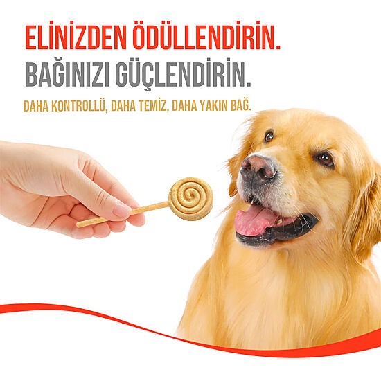 Wanpy Dondurularak Kurutulmuş Balkabaklı Köpek Lolipopu 6 Gr x 10 Adet (Toplam 60 Gr) - 7