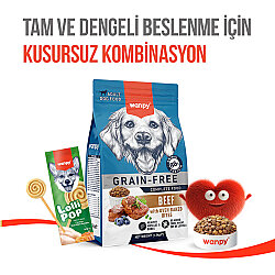 Wanpy Dondurularak Kurutulmuş Balkabaklı Köpek Lolipopu 6 Gr x 10 Adet (Toplam 60 Gr) - 9