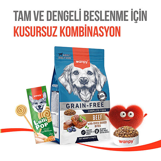 Wanpy Dondurularak Kurutulmuş Balkabaklı Köpek Lolipopu 6 Gr x 10 Adet (Toplam 60 Gr) - 9