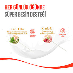 Wanpy Dondurularak Kurutulmuş Kedi Otlu Kedi Lolipopu 1.4 Gr x 10 Adet (Toplam 14 Gr) - 4