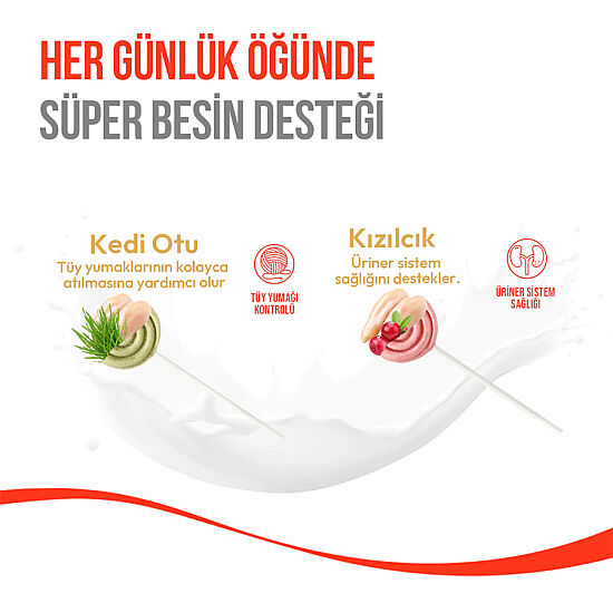 Wanpy Dondurularak Kurutulmuş Kedi Otlu Kedi Lolipopu 1.4 Gr x 10 Adet (Toplam 14 Gr) - 4