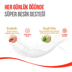 Wanpy Dondurularak Kurutulmuş Kızılcıklı Kedi Lolipopu 1.4 Gr x 10 Adet (Toplam 14 Gr) - 4