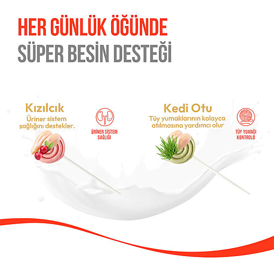 Wanpy Dondurularak Kurutulmuş Kızılcıklı Kedi Lolipopu 1.4 Gr x 10 Adet (Toplam 14 Gr) - 4