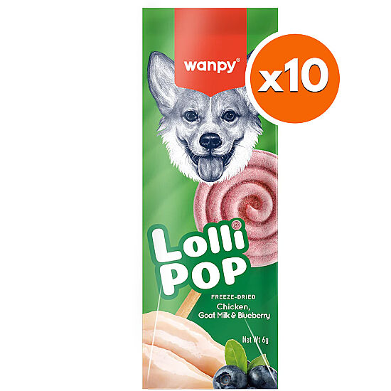 Wanpy Dondurularak Kurutulmuş Yaban Mersinli Köpek Lolipopu 6 Gr x 10 Adet (Toplam 60 Gr) - 1