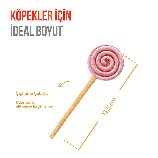 Wanpy Dondurularak Kurutulmuş Yaban Mersinli Köpek Lolipopu 6 Gr x 10 Adet (Toplam 60 Gr) - 3