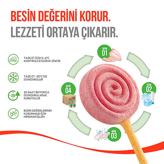 Wanpy Dondurularak Kurutulmuş Yaban Mersinli Köpek Lolipopu 6 Gr x 10 Adet (Toplam 60 Gr) - 5