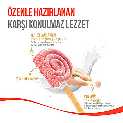 Wanpy Dondurularak Kurutulmuş Yaban Mersinli Köpek Lolipopu 6 Gr x 10 Adet (Toplam 60 Gr) - 6