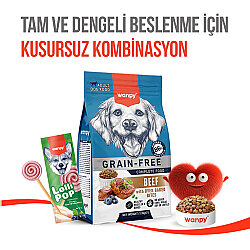 Wanpy Dondurularak Kurutulmuş Yaban Mersinli Köpek Lolipopu 6 Gr x 10 Adet (Toplam 60 Gr) - 9