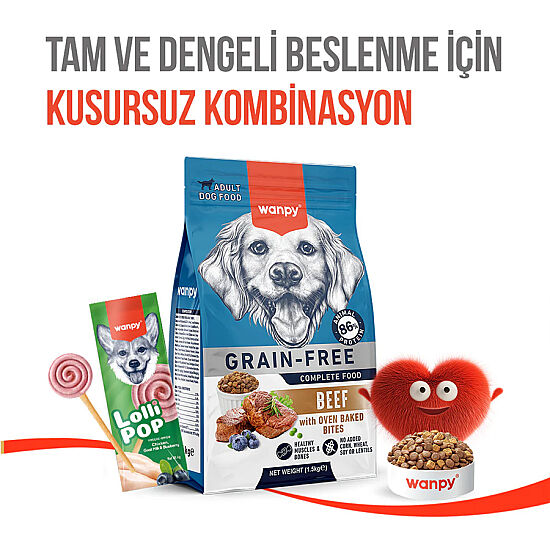 Wanpy Dondurularak Kurutulmuş Yaban Mersinli Köpek Lolipopu 6 Gr x 10 Adet (Toplam 60 Gr) - 9