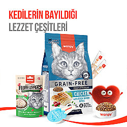 Wanpy Fluffy Toppers Tavuklu ve Kızılcıklı Mama Üstü Kedi Ödülü 30 Gr - 11