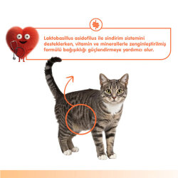 Wanpy Digestive Health Somon Balığı ve Tavuklu Krema Ödül 60x14gr - 5