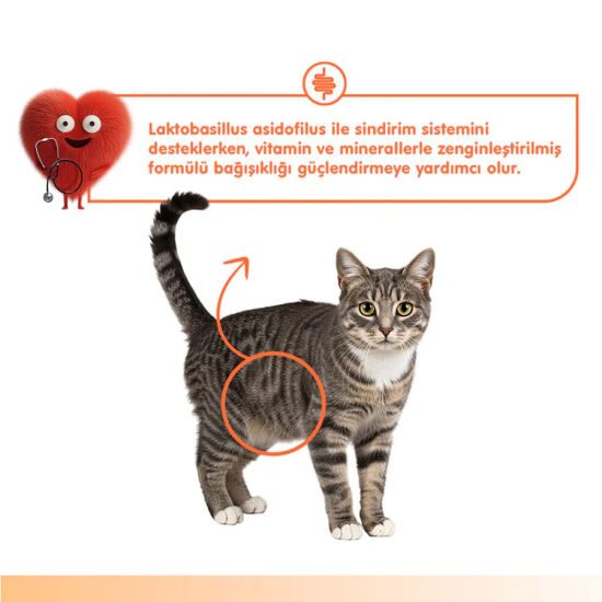 Wanpy Digestive Health Somon Balığı ve Tavuklu Krema Ödül 60x14gr - 5