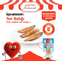 Wanpy Pure Tuna Fillet Ton Balığı Fileto Kedi Ödülü 25 Gr - 2