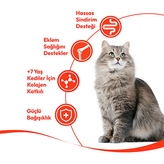 Wanpy Senior Ton Balıklı 7+ Yaş Yaşlı Kedi Krema Ödülü 5x14 Gr - 3