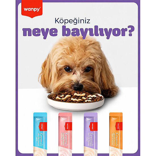 Wanpy Dog Creamy Treat Somon ve Tavuk Etli Likit Creamy Köpek Ödülü 5Li Paket (5 x 14 Gr) - 3