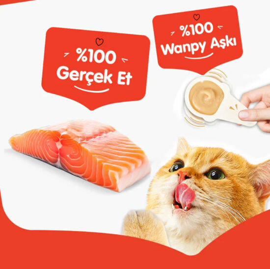 Wanpy Somonlu Kaşıklı Kedi Ödül Kreması 10 x 16 Gr - 160 Gr - 3